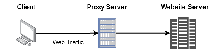 /info/developer-roadmap/raw/branch/devops-content/public/guides/proxy/proxy-example.png