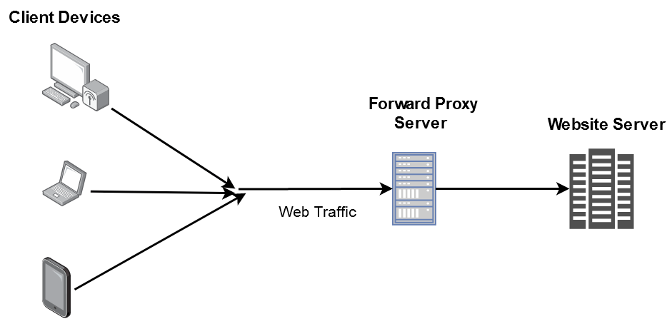 /info/developer-roadmap/raw/branch/fix/ai-course-permission/public/guides/proxy/forward-proxy.png
