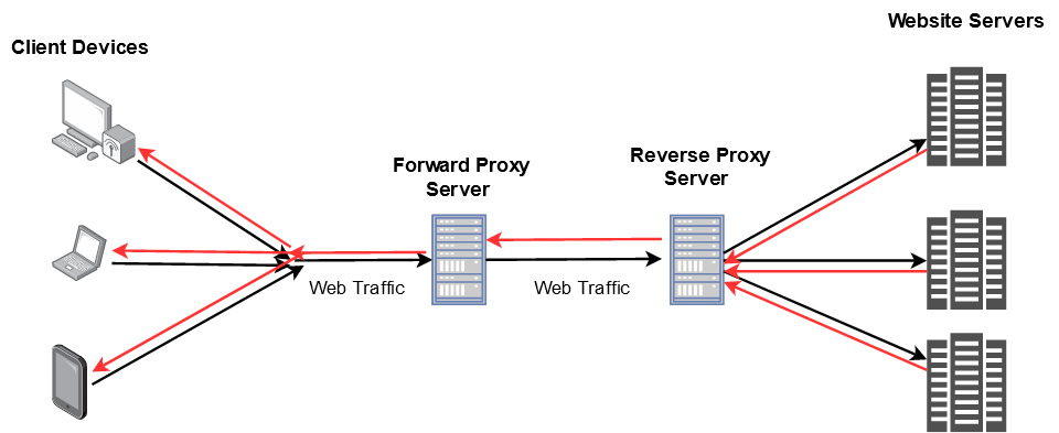 /info/developer-roadmap/raw/branch/frontend-content/public/guides/proxy/reverse-proxy.png