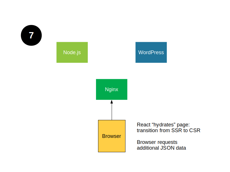 Stage 7