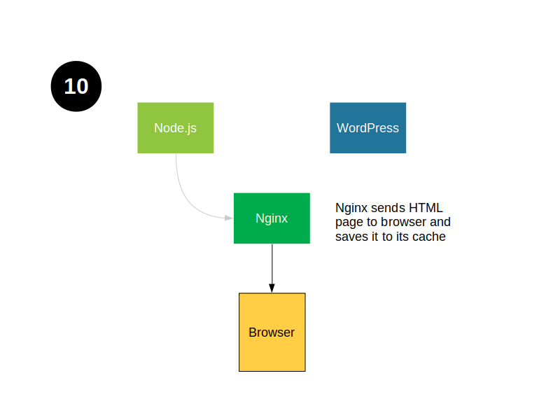 Stage 10