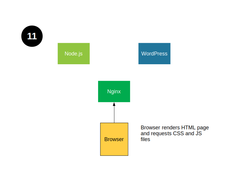 Stage 11