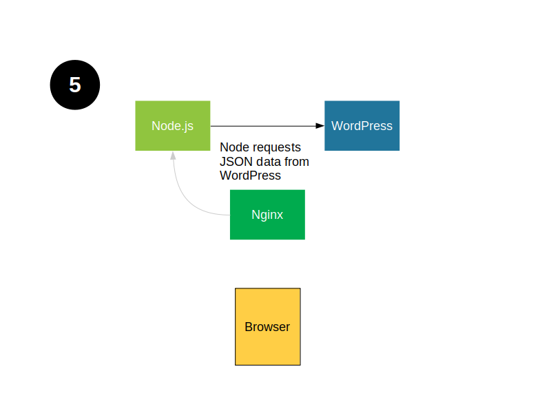 Stage 5