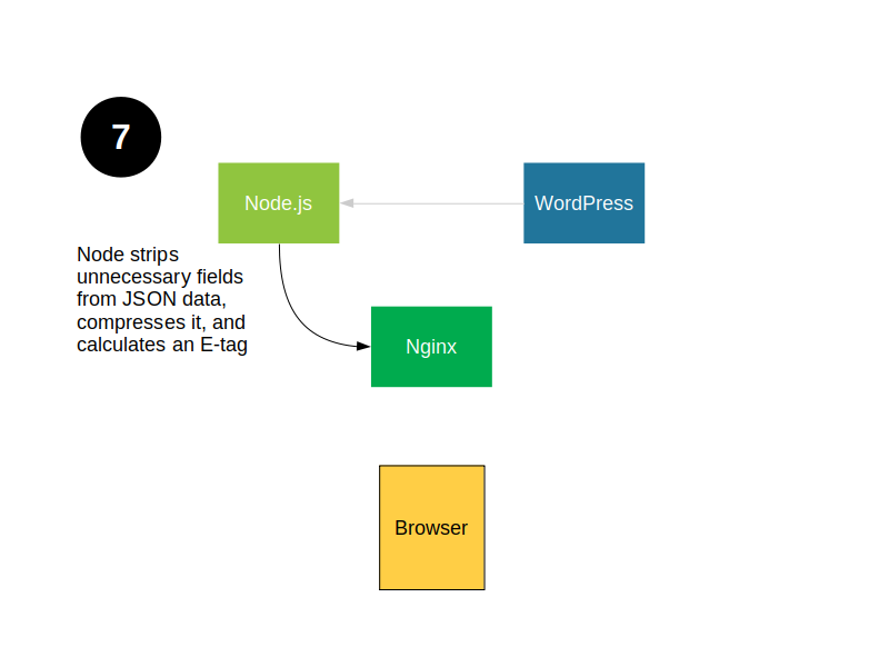 Stage 7