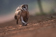 /mirror/hugo/raw/branch/release-0.146.0/resources/testdata/issue10738/nikon_nef_fraction.jpg